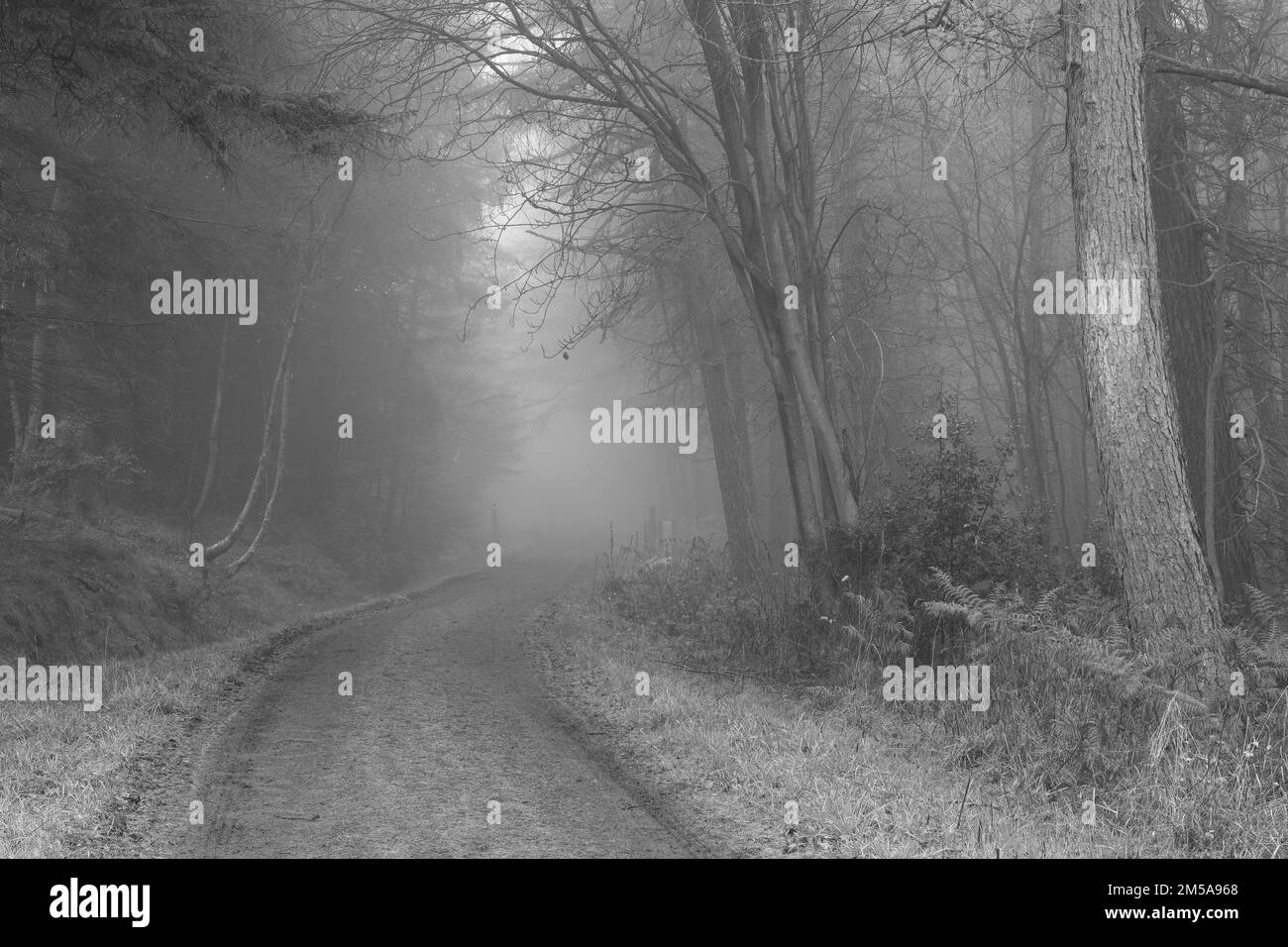 winters day by patrick burke burke75