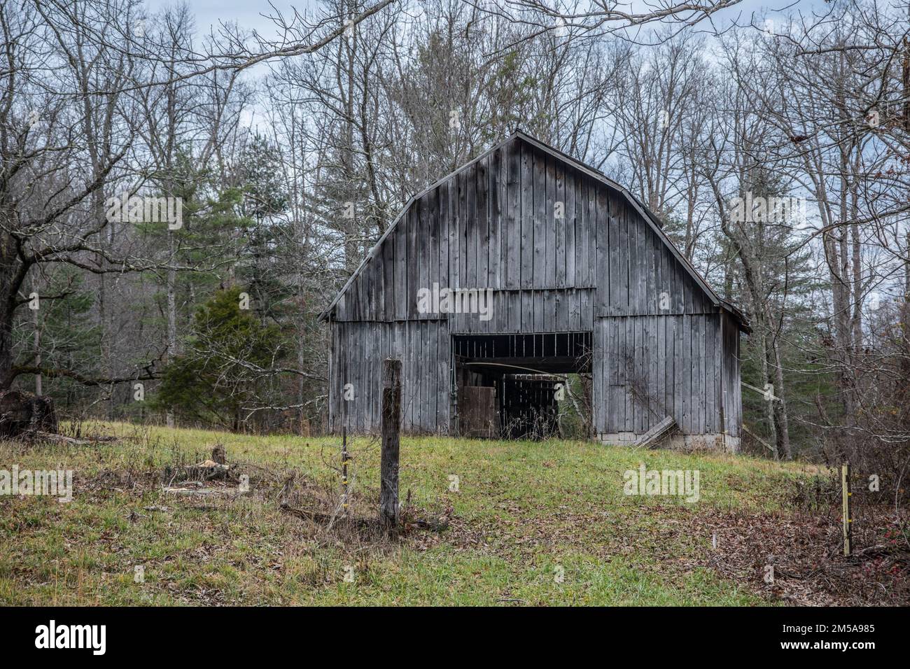 A rustic gray barn on a hillside surrounded by trees with an electrified fence at the entry to the barn on a cloudy day in wintertime Stock Photo