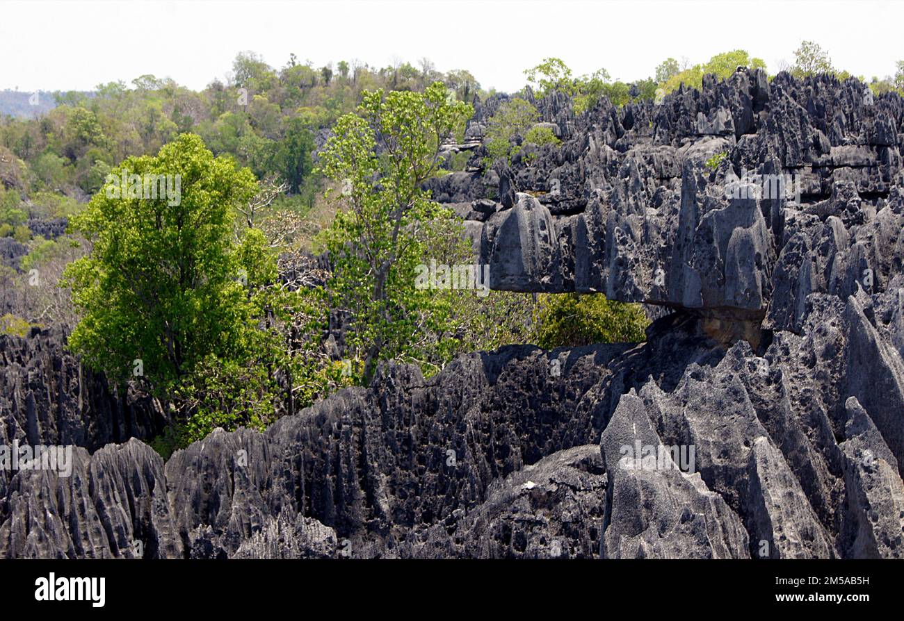 Tsingy madagascar stone forest hi-res stock photography and images - Alamy