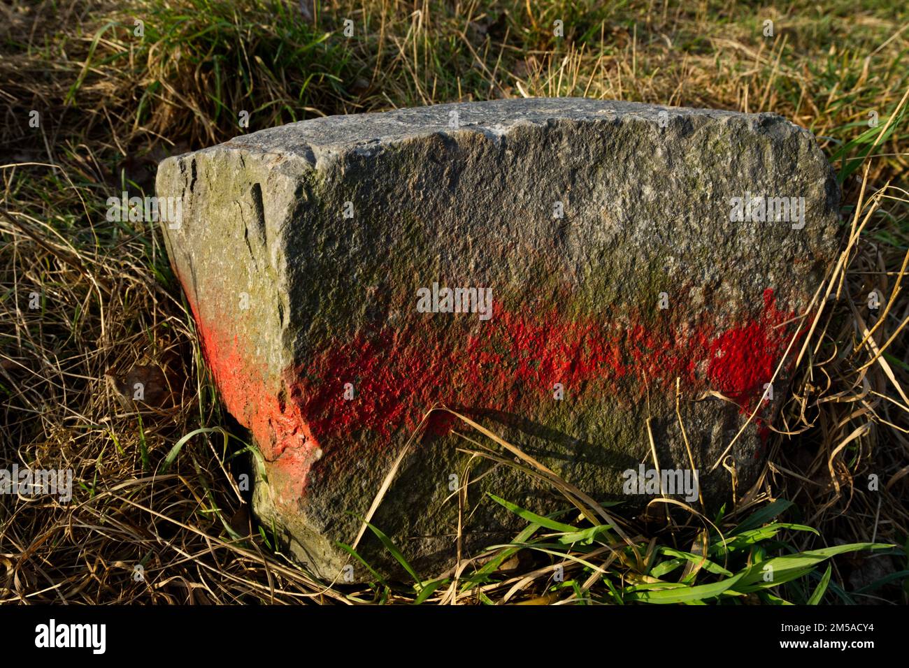Milestone in the shape of a rectangular rock at the wayside with a horizontally painted marking in form of a striking red stripe Stock Photo