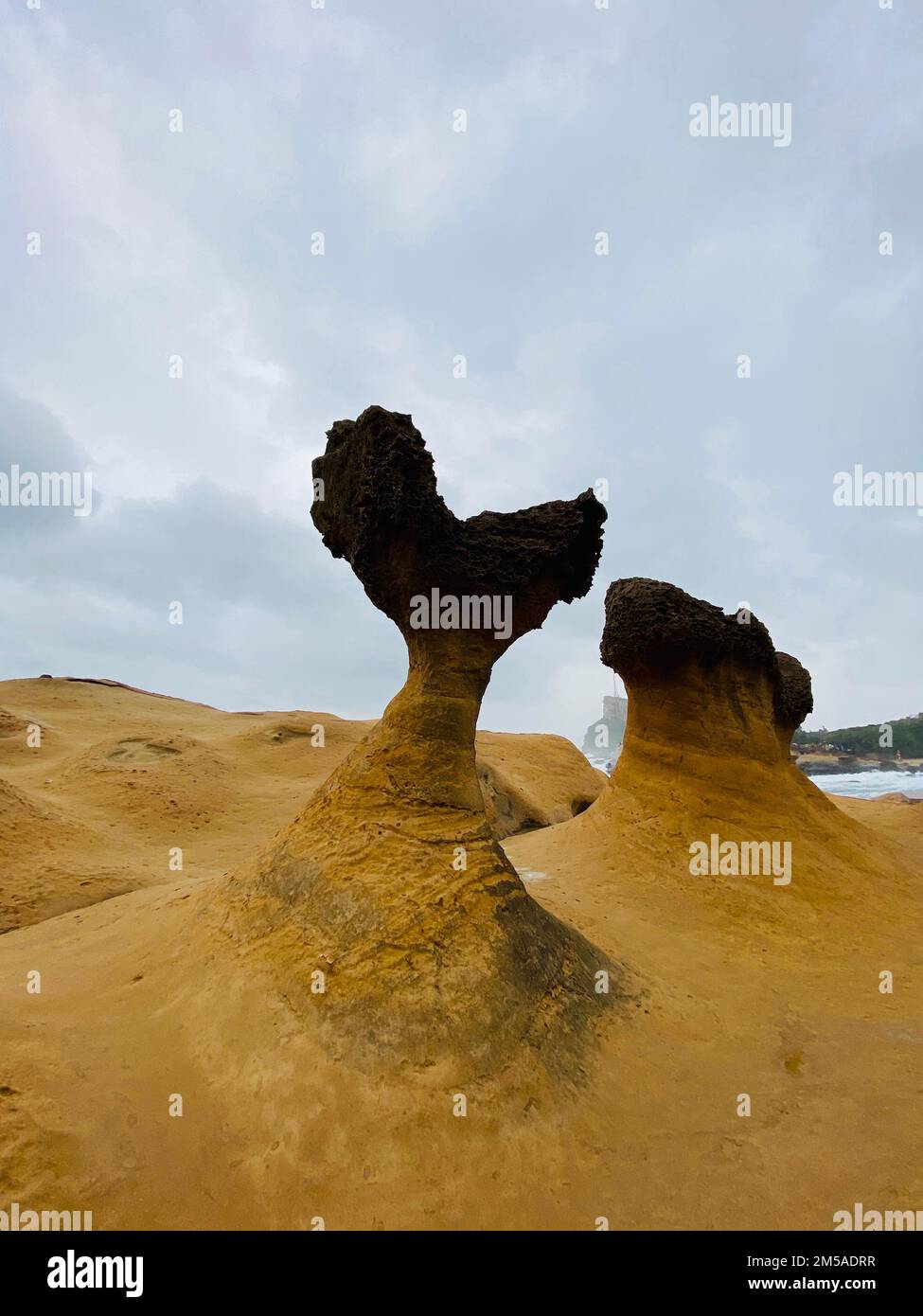 A vertical shot of the beautiful rock formations in Yehliu Geopark ...