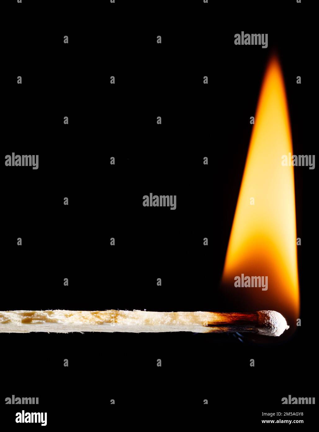 Wooden matchstick flaming with an orange flame against a black ...