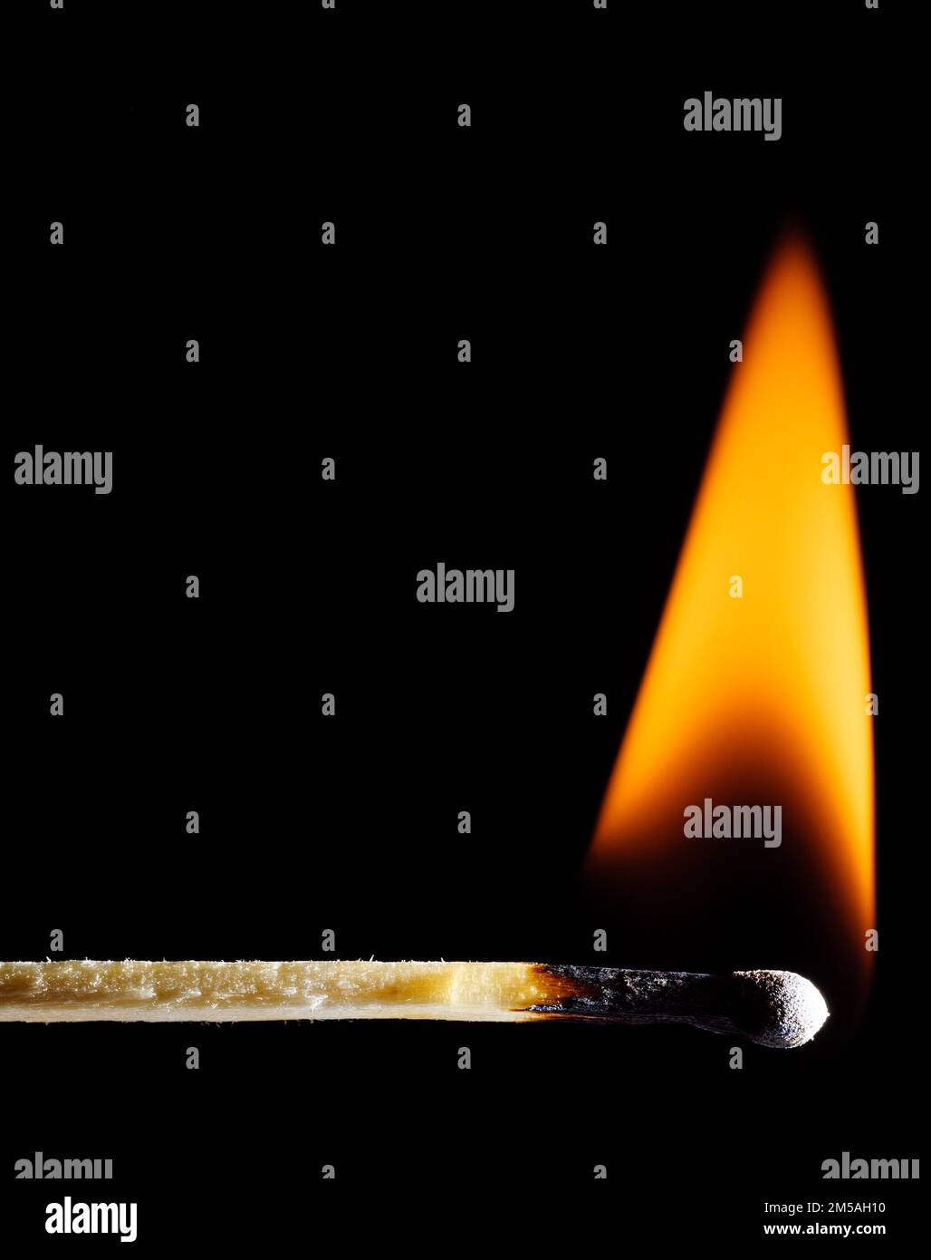 A lit wooden match burns with an orange flame against a black ...