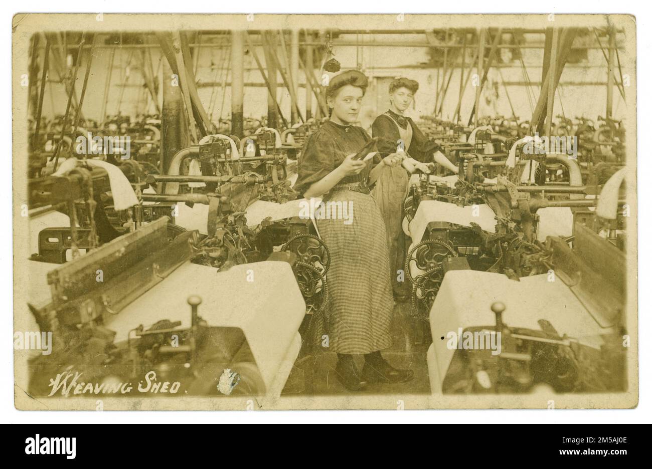 Original Edwardian era postcard of young female workers in a busy large weaving shed in front of their looms. The girl at the front appears to be of teenage years and is wearing clogs and holding a weaver's shuttle. Published by The Schofield Photographic Series circa 1906, Bollington, Cheshire, England, U.K. traditionally silk-weaving towns. Bollington is a traditionally silk weaving town in Cheshire Stock Photo