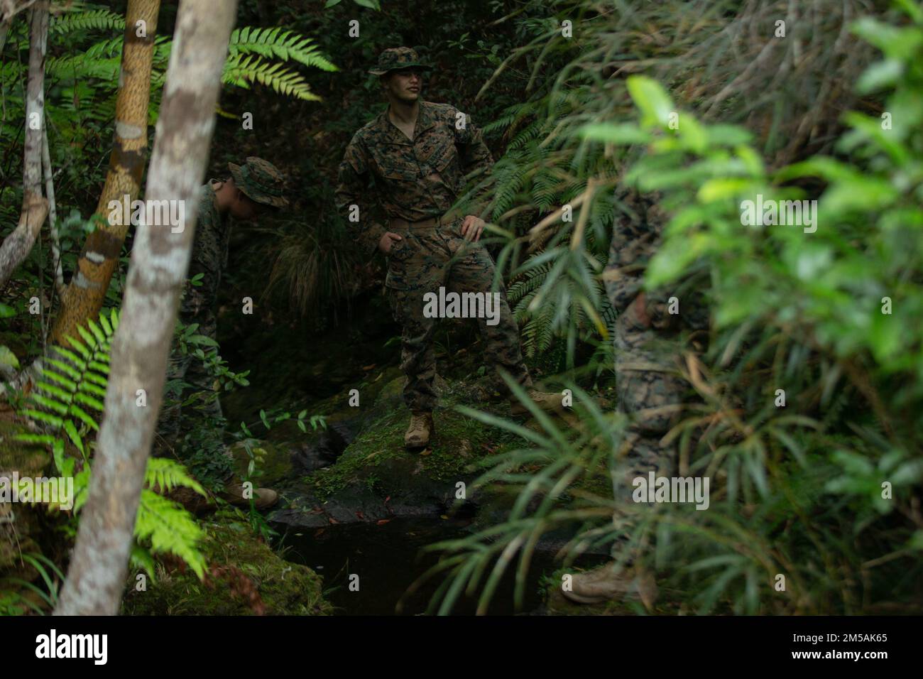 U.S. Marines with Combat Logistics Battalion 4, Combat Logistics Regiment 3, 3rd Marine Logistics Group, conduct water purification using the Platoon Water Purification System during Jungle Warfare Exercise 22, Feb. 16, 2022, Camp Gonsalves, Okinawa, Japan. JWX 22 is a large-scale field training exercise focused on leveraging the integrated capabilities of joint and allied partners to strengthen all-domain awareness, maneuver, and fires across a distributed maritime environment. Stock Photo