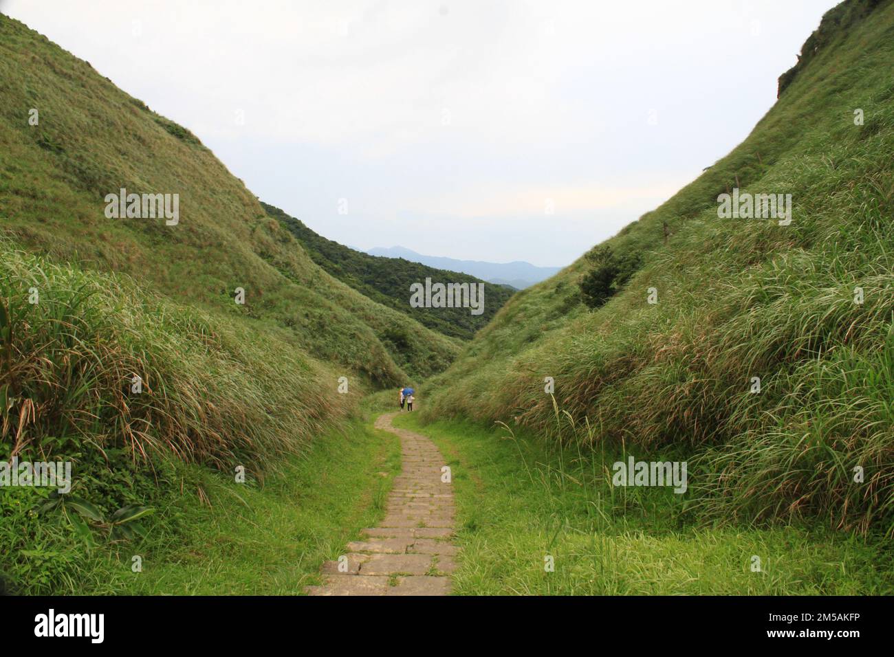 Shot beautiful green mountain hi-res stock photography and images - Alamy