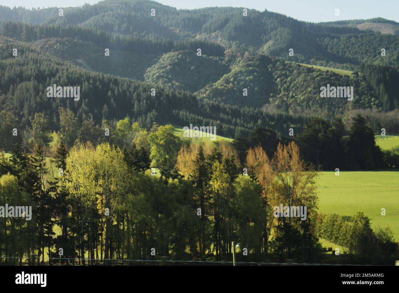 Shot beautiful green mountain hi-res stock photography and images - Alamy