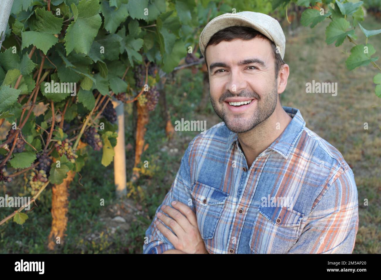 Farmer with arms crossed in vineyard Stock Photo