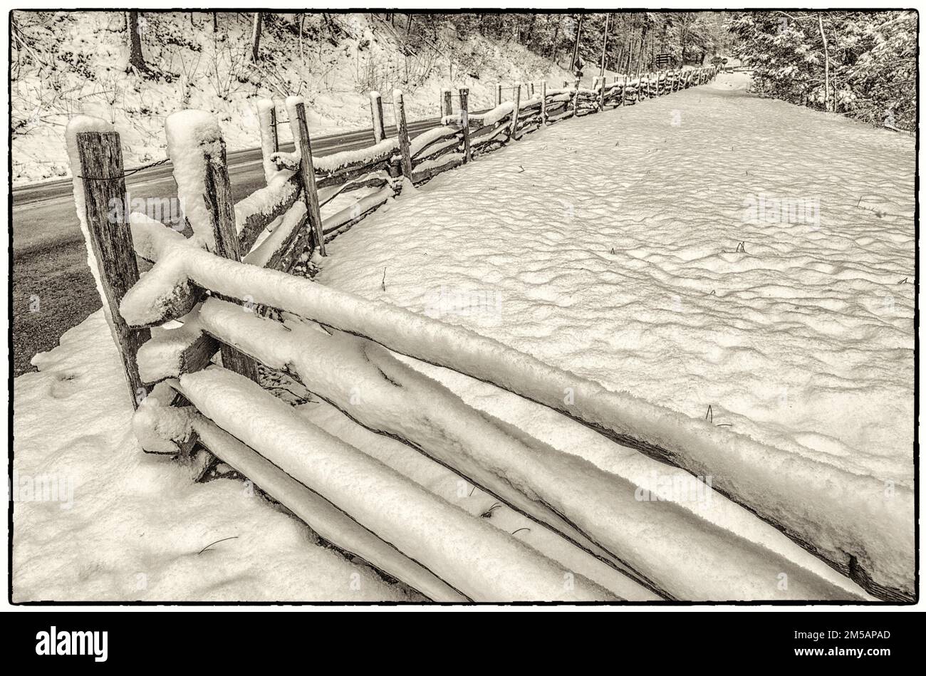 A black and white photograph of an early springtime snow in the Great Smoky Mountains National Park.  The image has a rough black border. Stock Photo