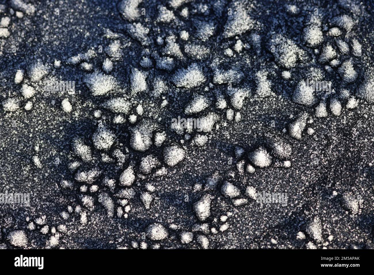 Ice patterns on car bonnet Stock Photo
