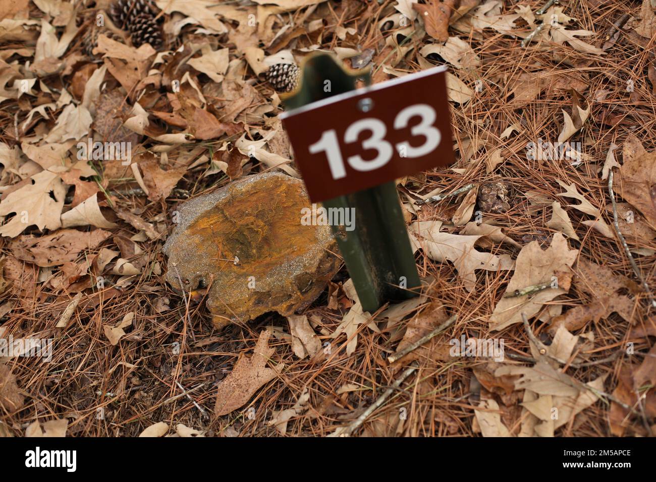 Photo by Sharilyn Wells/Fort Bragg Public Affairs Office Some burials were marked with local