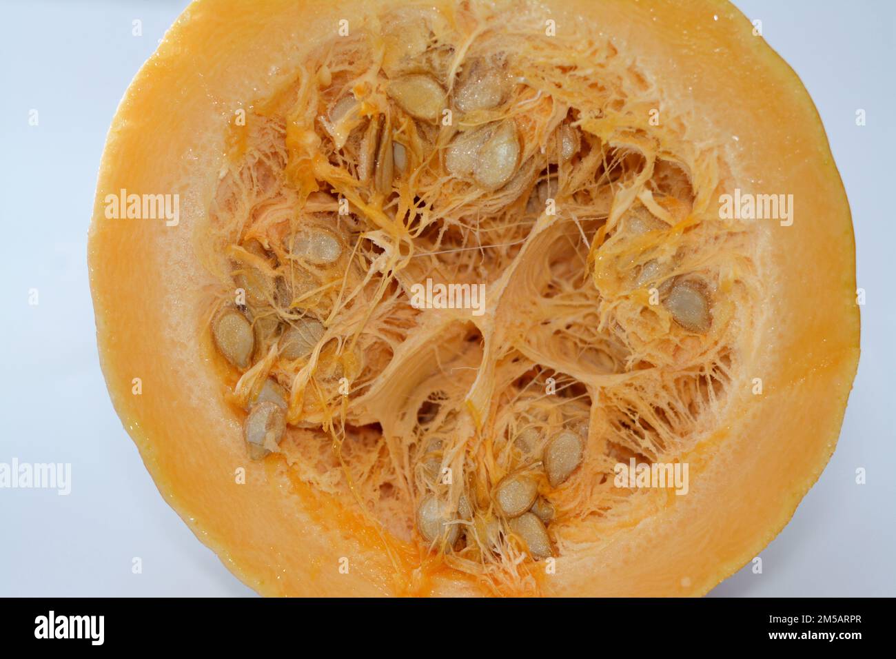 Labu In English squash, pumpkin, or gourd, Cucurbita is a genus of herbaceous fruits in ...