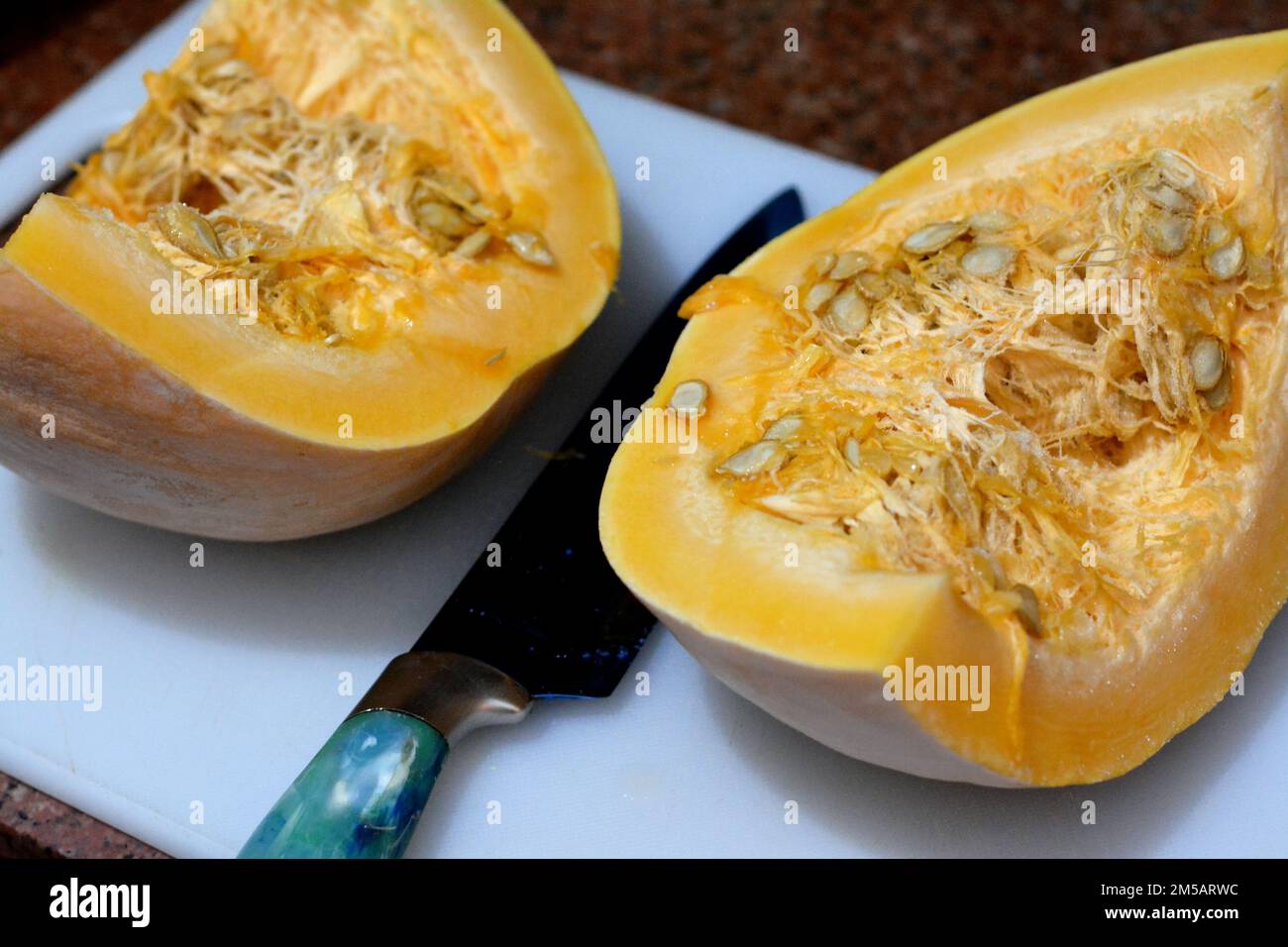 squash, pumpkin, or gourd, Cucurbita is a genus of herbaceous fruits in