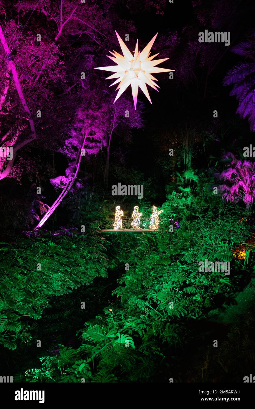 Christmas lights at La Concepción, Málaga botanical garden, Spain Stock