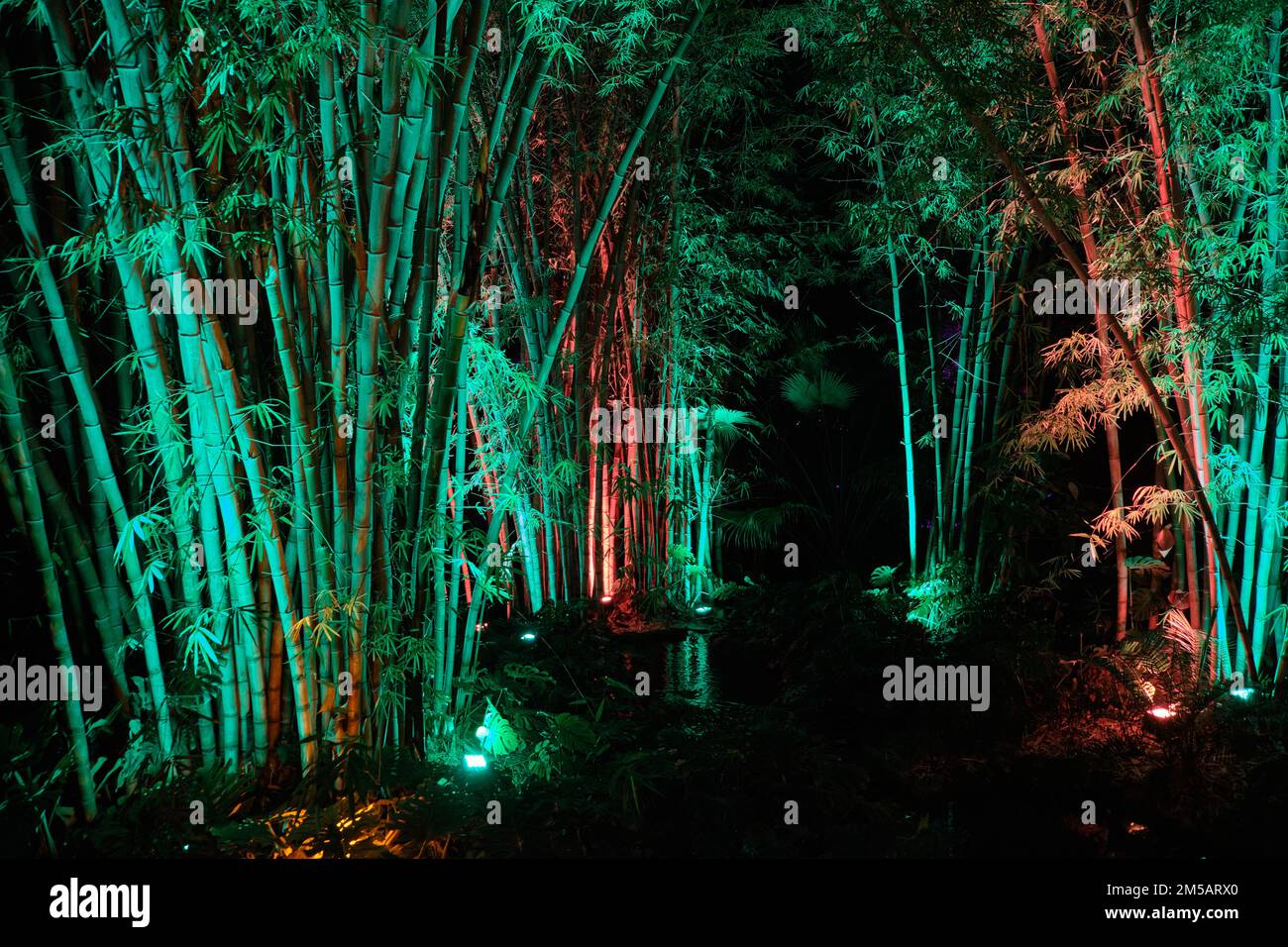 Christmas lights at La Concepción, Málaga botanical garden, Spain Stock