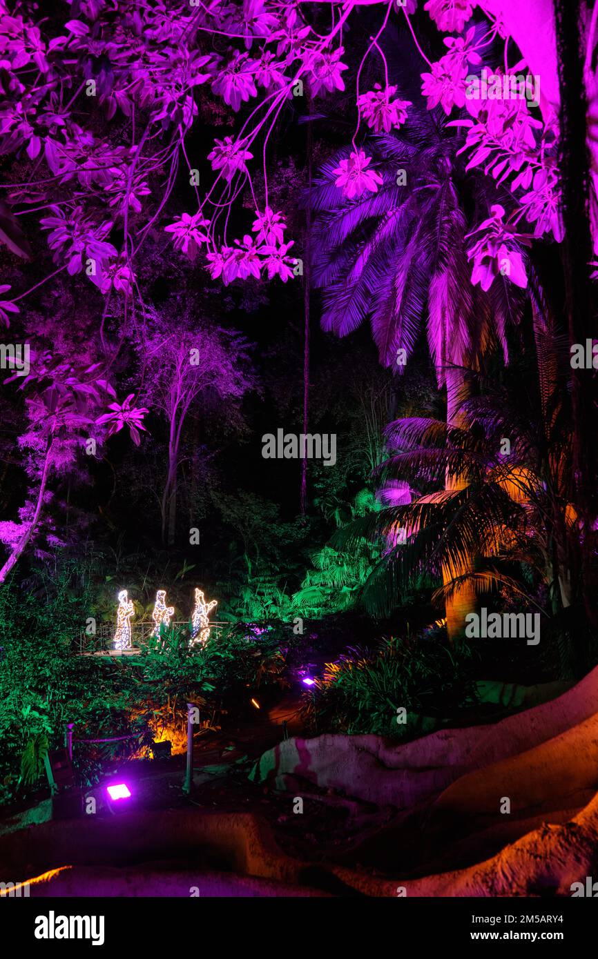 Christmas lights at La Concepción, Málaga botanical garden, Spain Stock