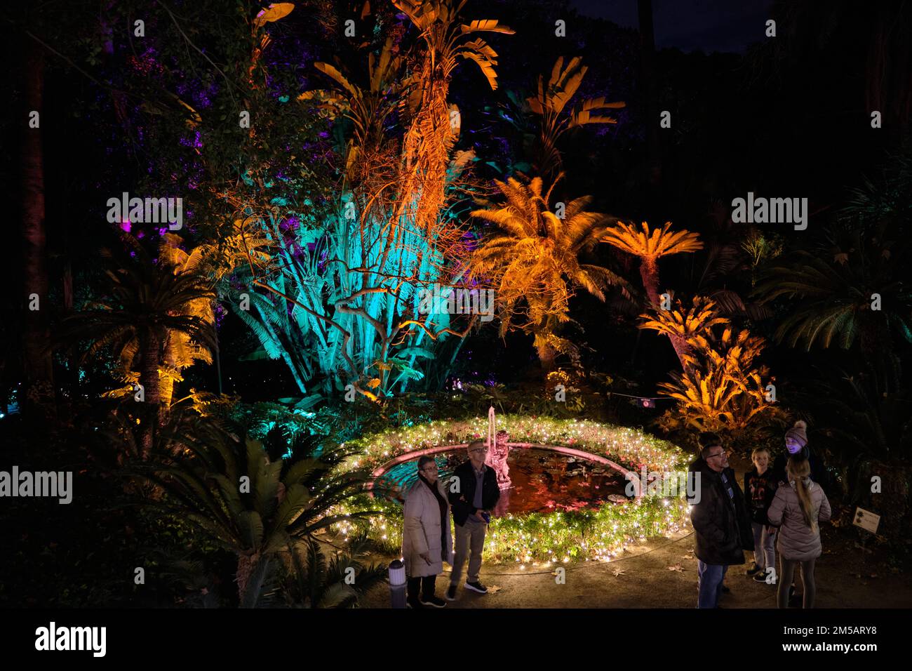 Christmas lights at La Concepción, Málaga botanical garden, Spain Stock