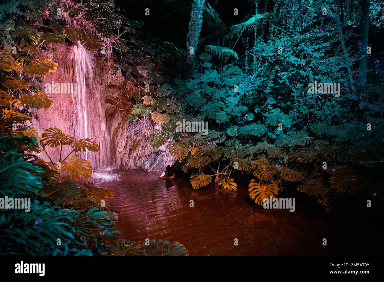 Luces del botanico hires stock photography and images Alamy