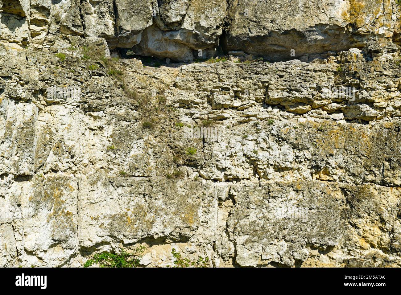 Geological section of ancient deposits of shell rock Stock Photo Alamy