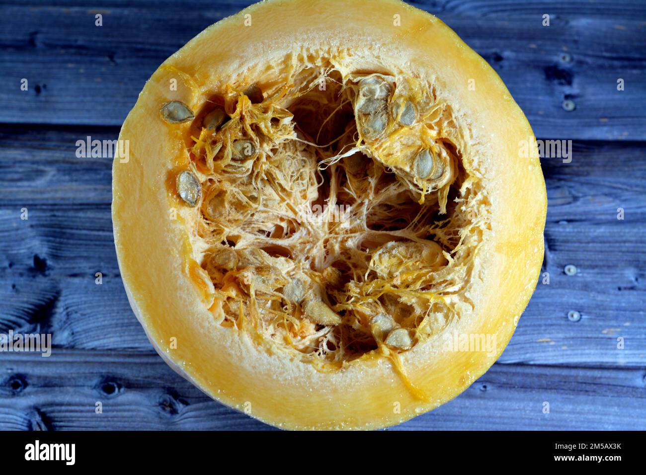 squash, pumpkin, or gourd, Cucurbita is a genus of herbaceous fruits in