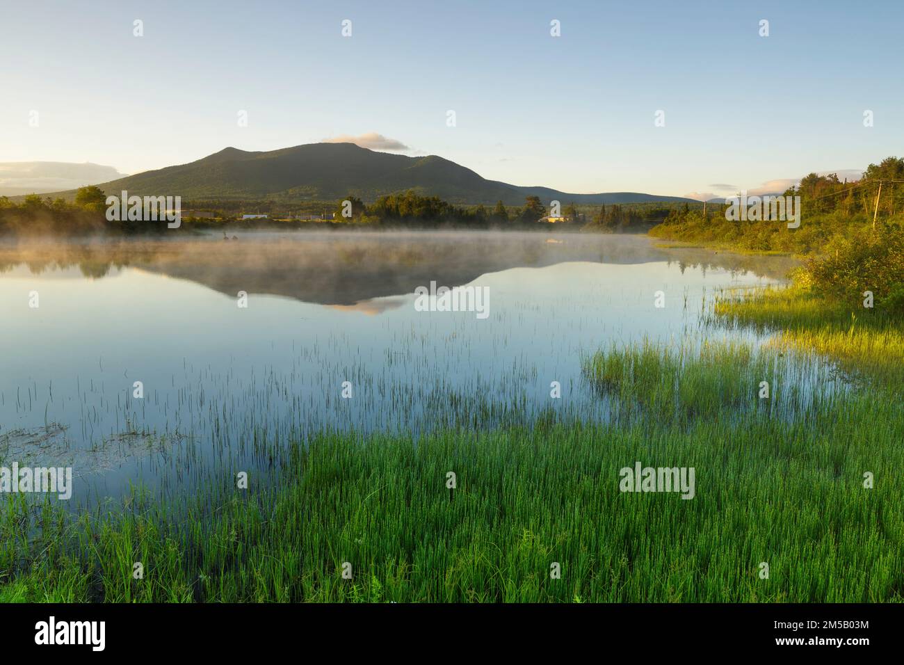 Reflection of Cherry Mountain in Airport Marsh, near Mt Washington