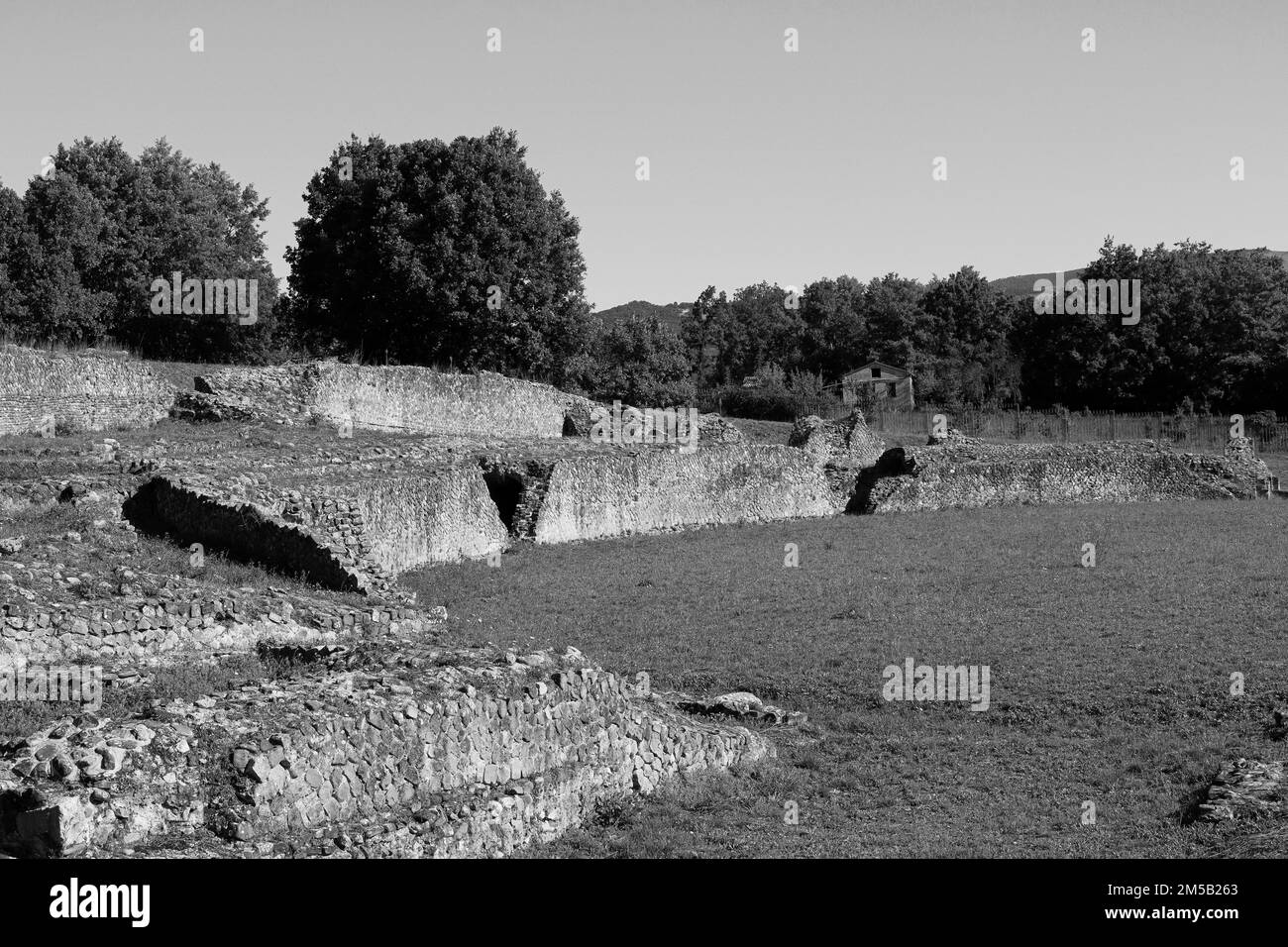 A grayscale of the Roman ruins in a picturesque landscape with lush ...