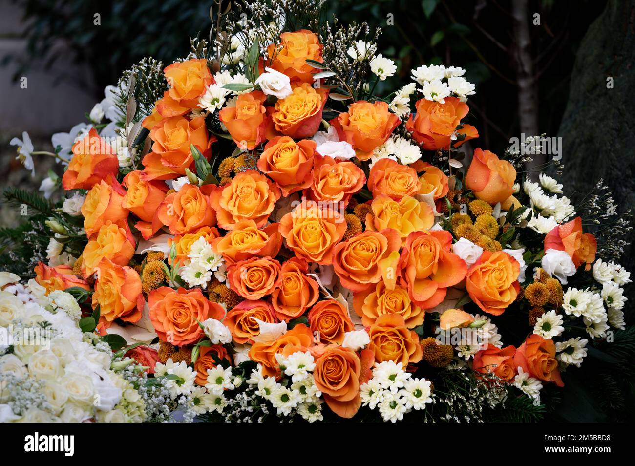 a large bouquet of orang colored roses on a grave after a funeral Stock Photo