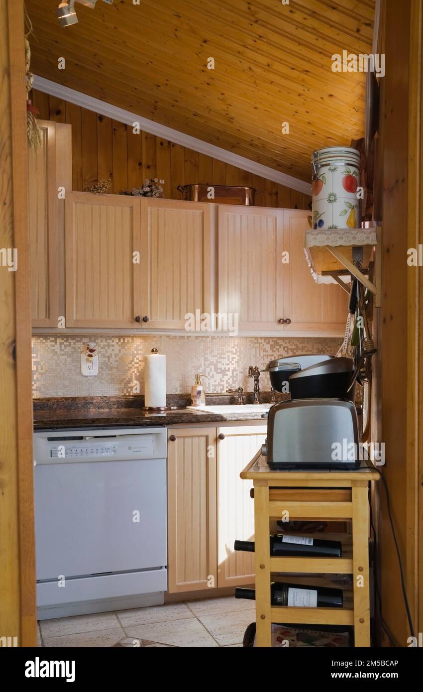 Bleached maple wood pinewood plank wall and ceiling
