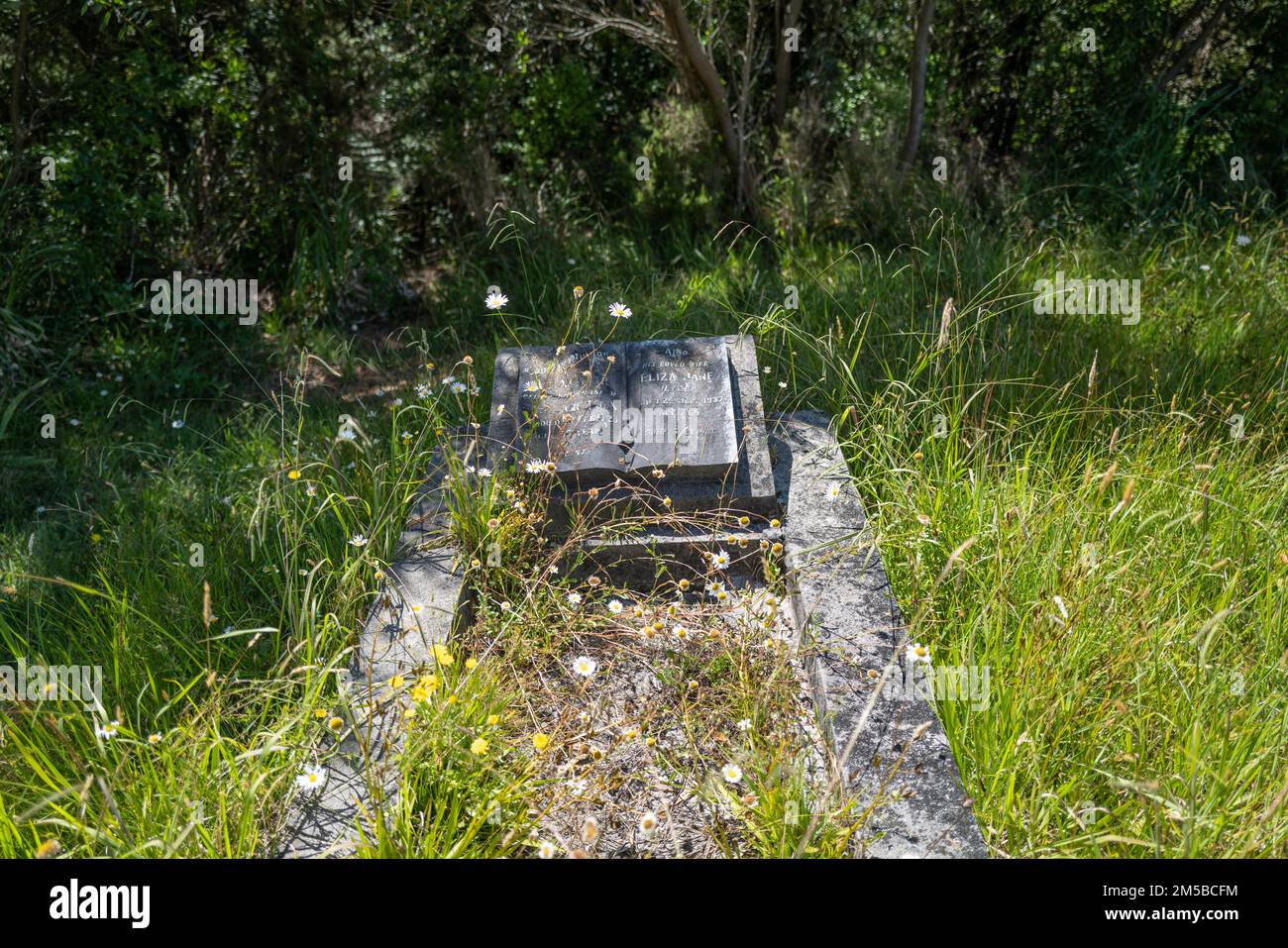 Waikumete Cemetery, originally Waikomiti Cemetery, is New Zealand's