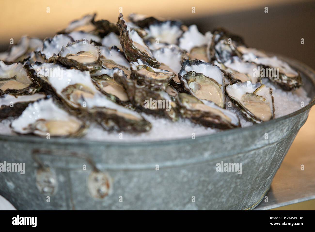 Shucked oysters at a corporate function Stock Photo