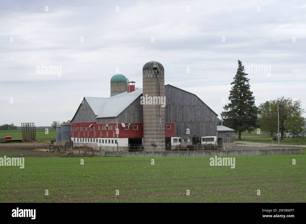 vintage farm barn with lawn as background Stock Photo - Alamy