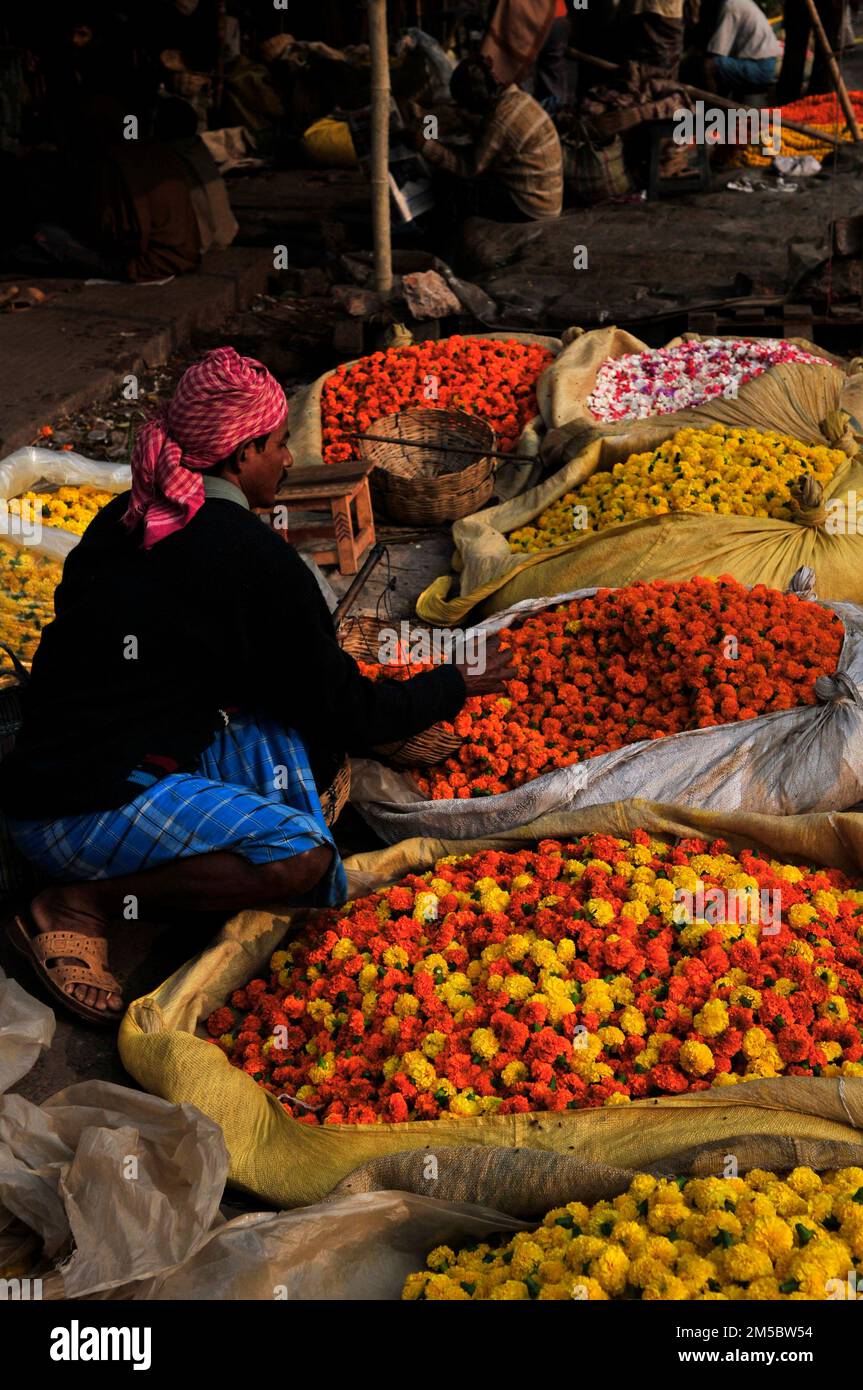 Mallick Ghat is one of the biggest flower markets in Asia. Early