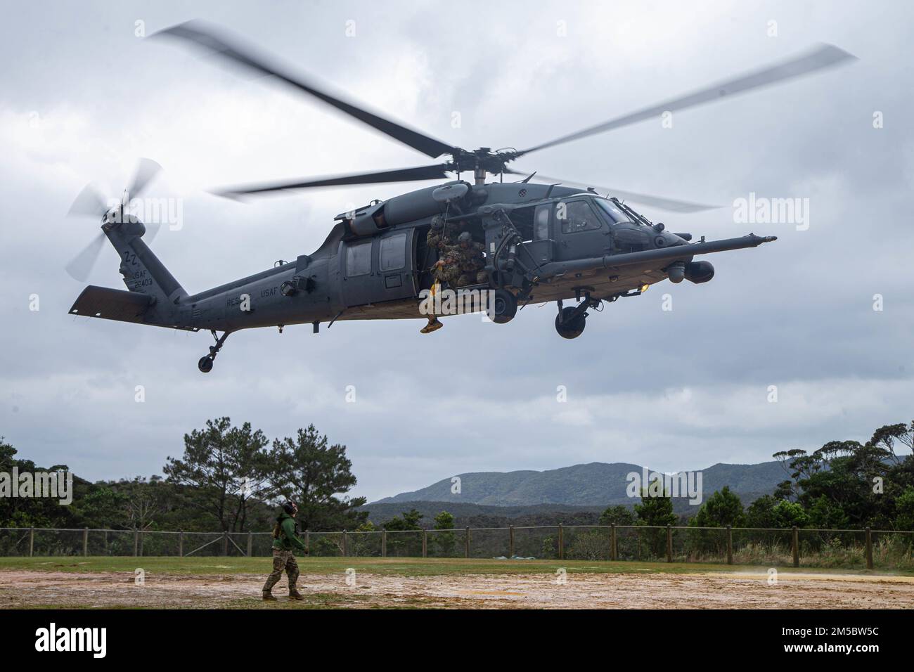 Jungle hires stock photography and images Alamy