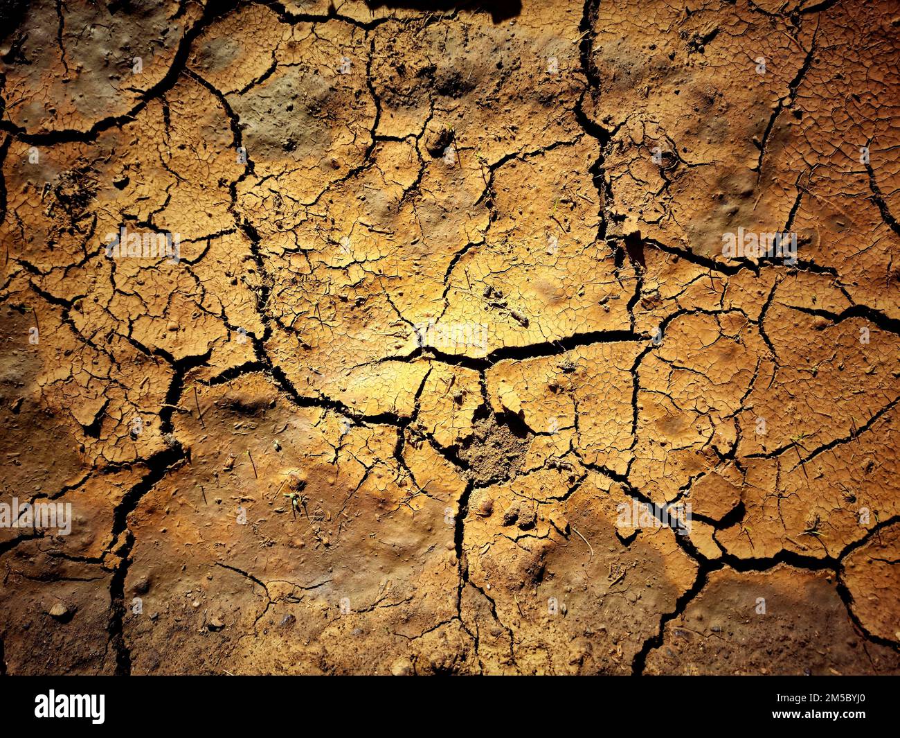 Ground cracks due to drought Stock Photo Alamy