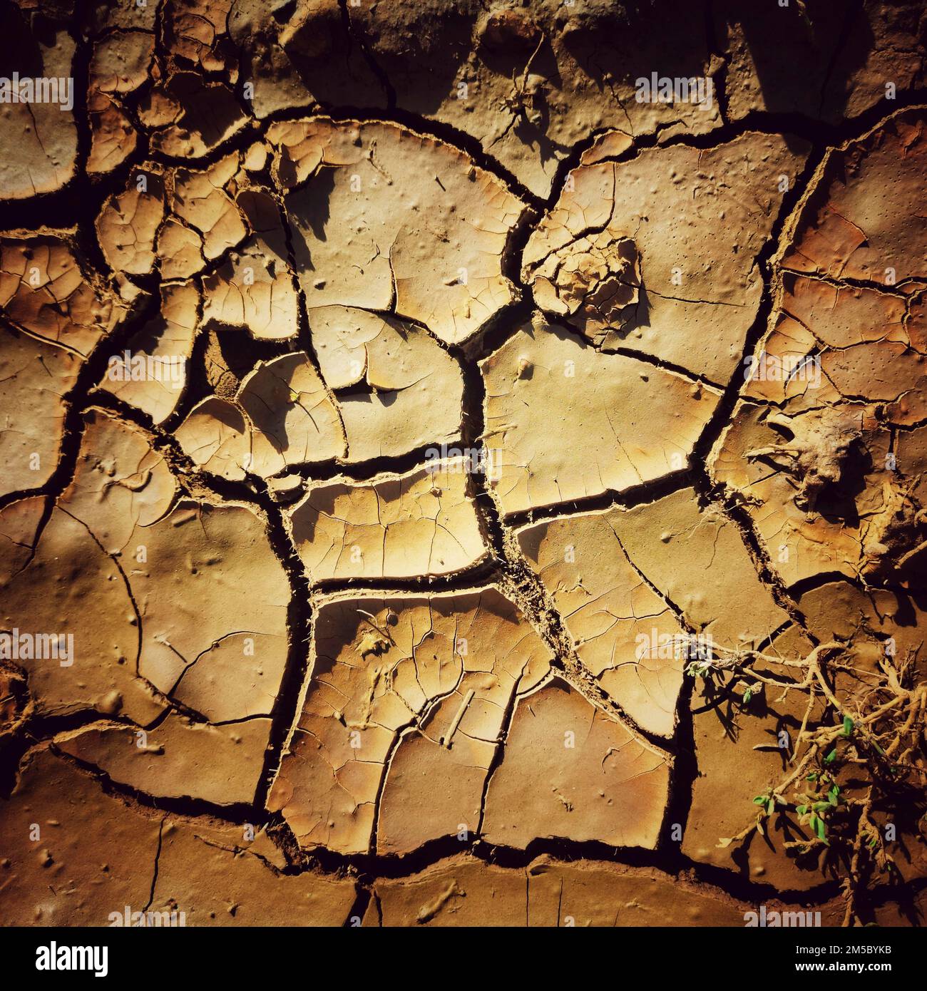 Ground cracks due to drought Stock Photo Alamy