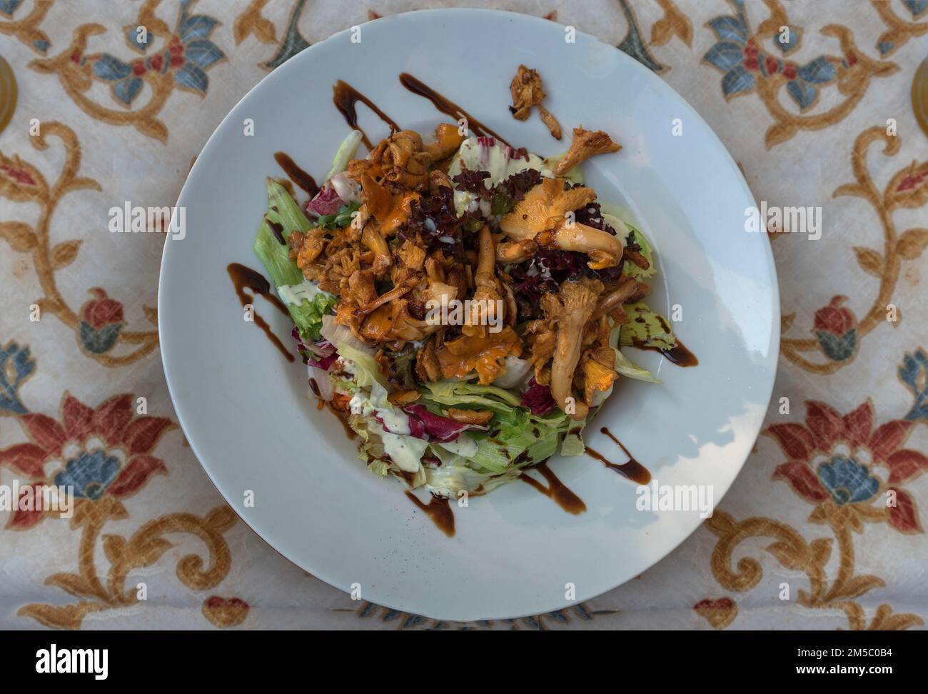 Mixed salad with fresh chanterelles, Bavaria, Germany Stock Photo Alamy