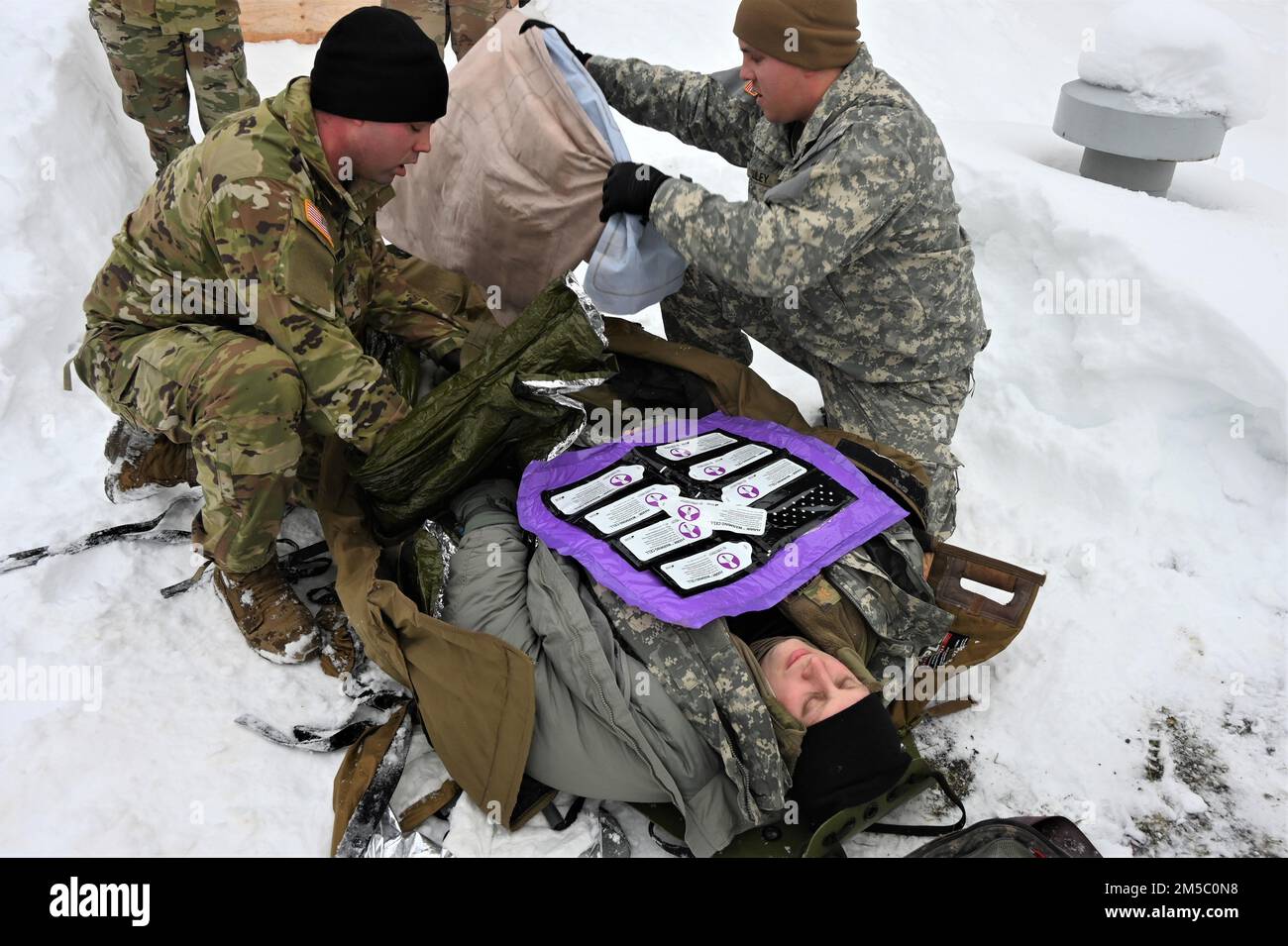 Soldiers from Alaska Command participate in arctic medical training at