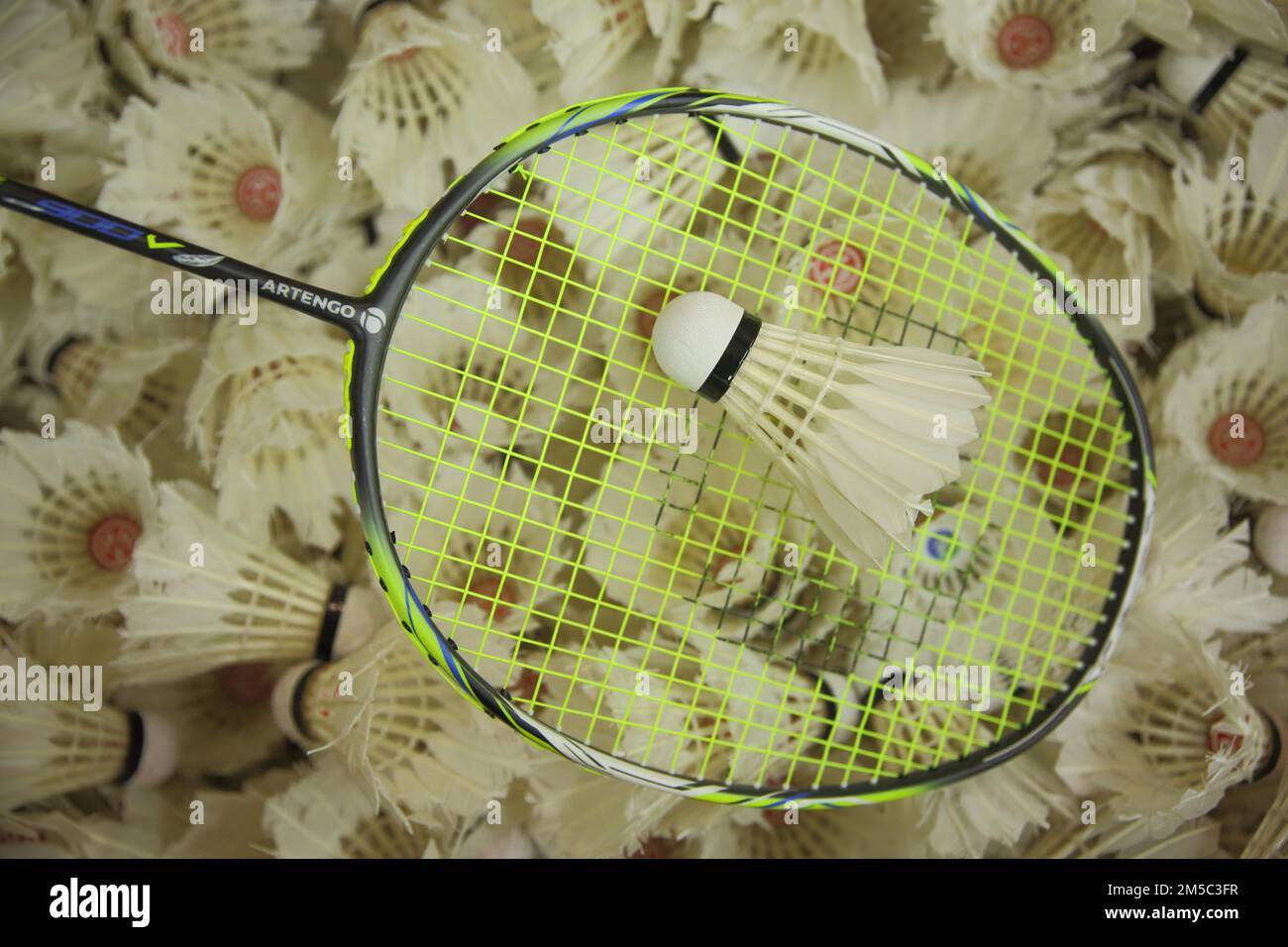 Badminton racket with shuttlecocks, pile, amount, number, much, sport