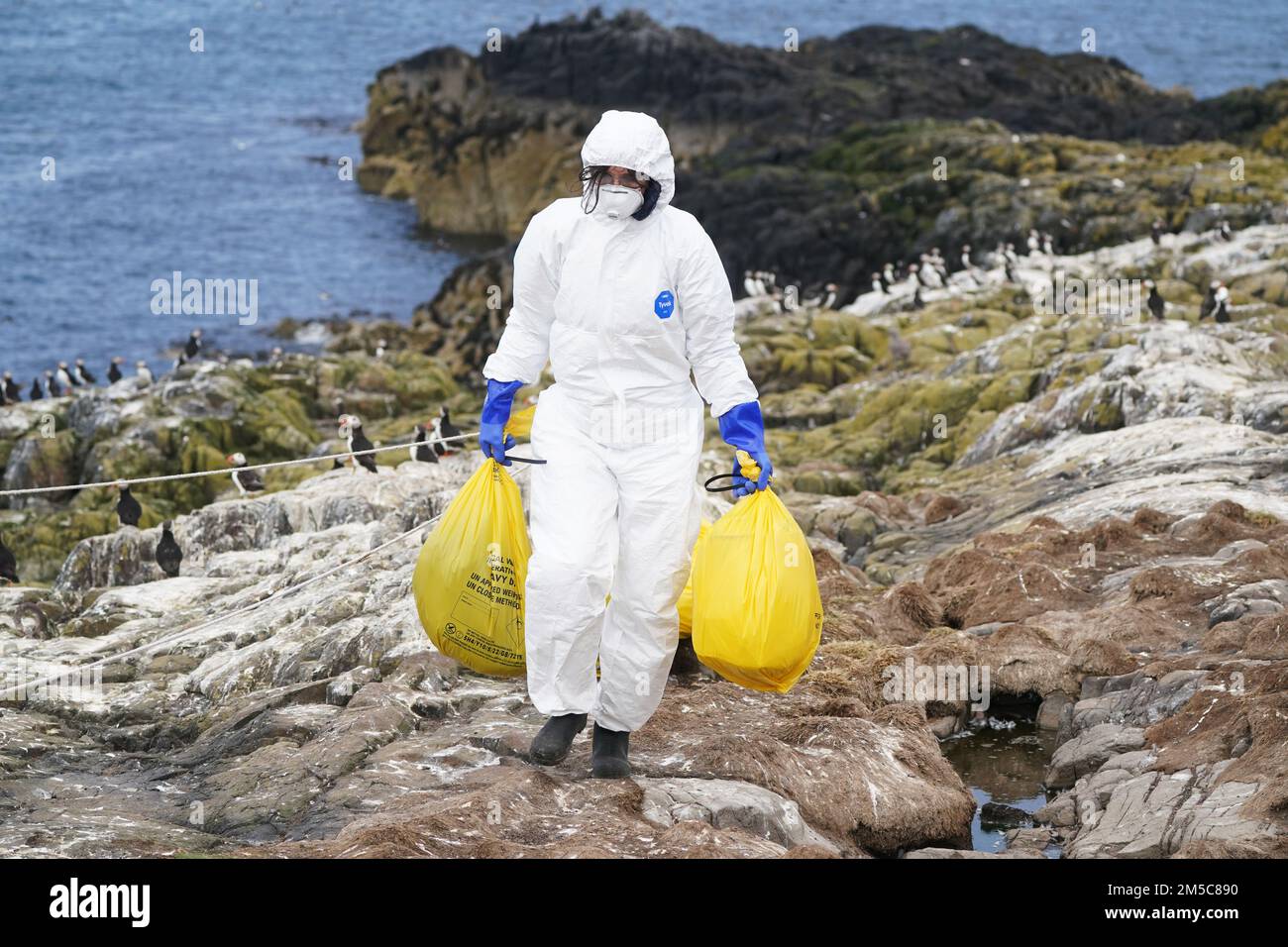 File photo dated 20/07/22 of a National Trust ranger clearing dead ...