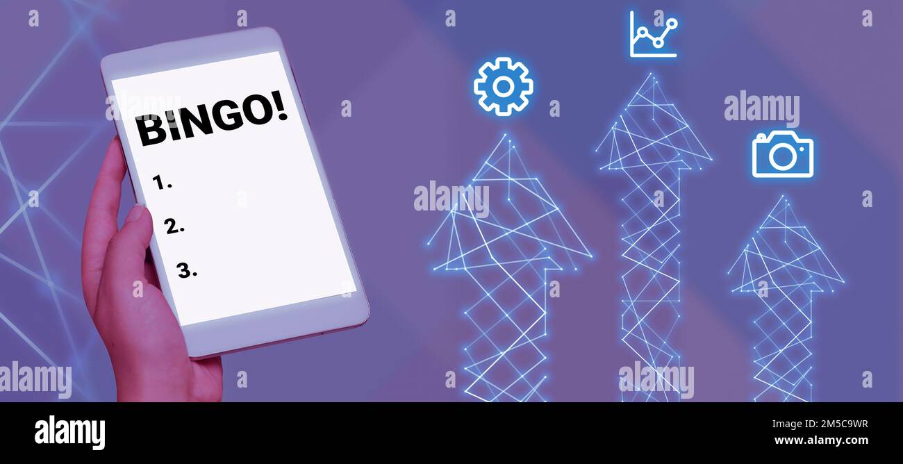 Text showing inspiration Bingo. Word for game of chance in which each ...