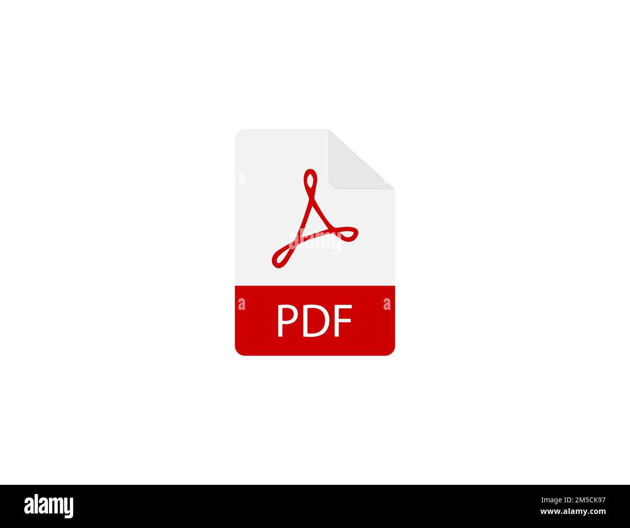 Document Pdf Format