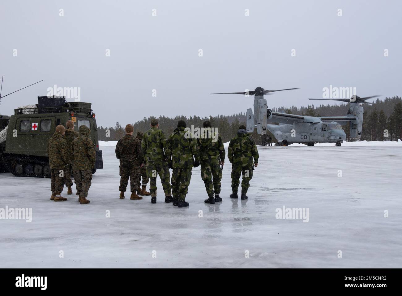 Swedish Armed Forces service members and U.S. Navy Sailors with 2nd Marine Aircraft Wing, II Marine Expeditionary Force, observe an MV-22B Osprey at Norwegian Army Base Setermoen, Norway, March 2, 2022. Exercise Cold Response ’22 is a biennial exercise that takes place across Norway, with participation from each of its military services, as well as from 26 additional North Atlantic Treaty Organization (NATO) allied nations and regional partners. Stock Photo