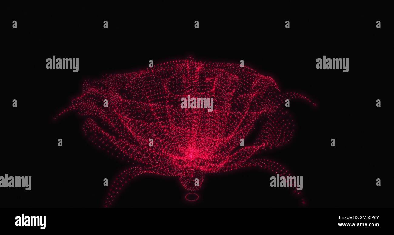 An abstract red rose on a black background. 3D model of a rose with ...
