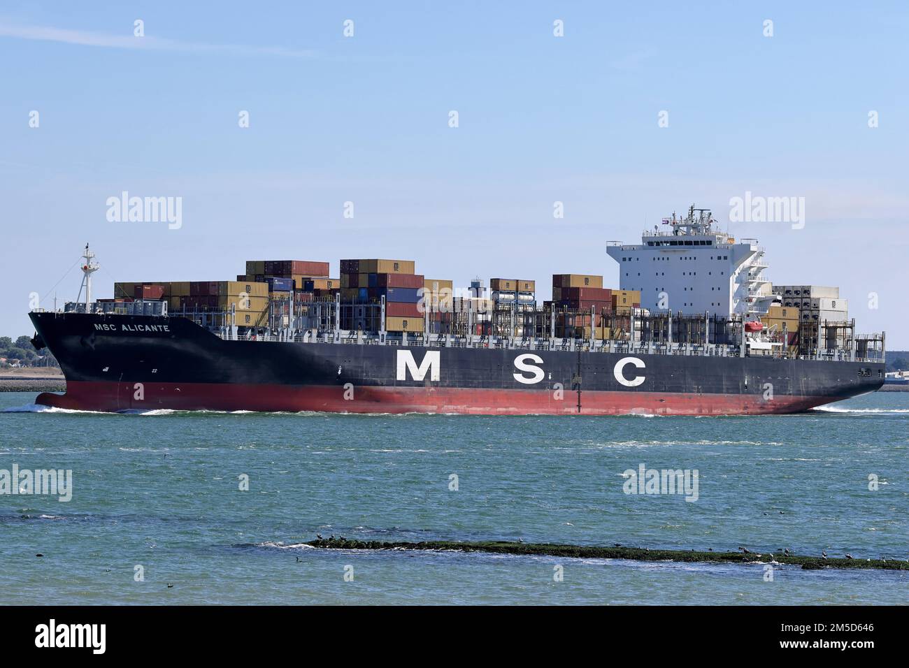 The container ship MSC Alicante departs the port of Rotterdam on August 31, 2022. Stock Photo