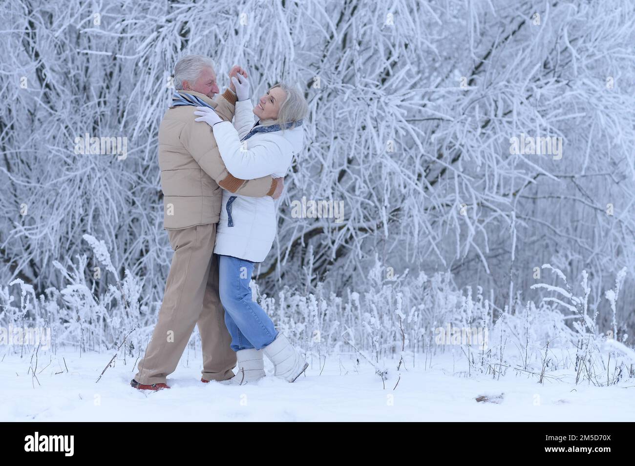 happy old couple dancing in winter outdoors Stock Photo - Alamy