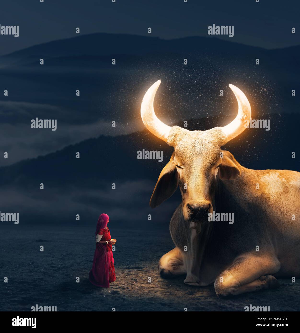 Woman in red sari worships big Holy Cow with glowing golden magic horns in Rajasthan, India Stock Photo