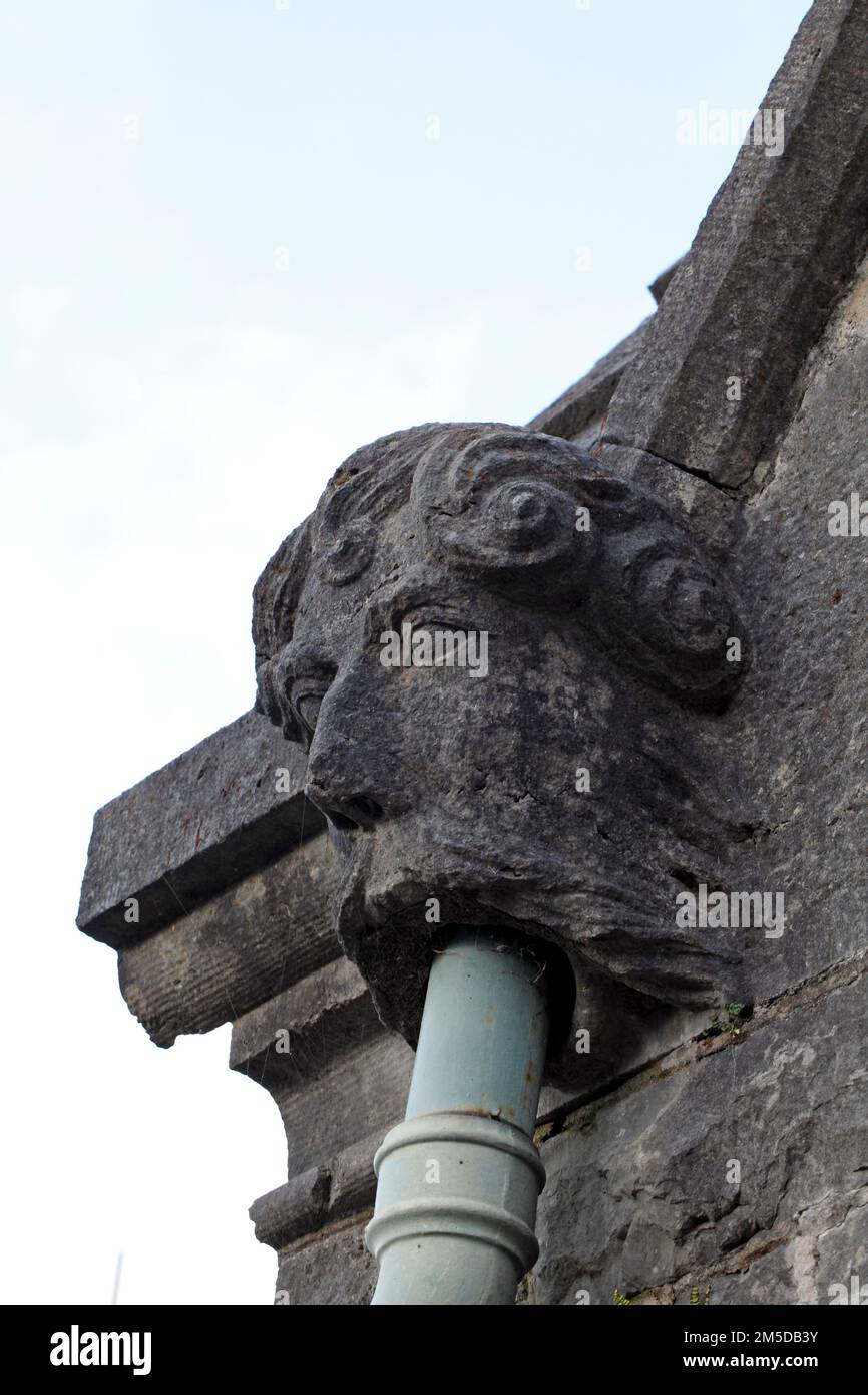 Carved face or head. Rainwater discharge carved gothic style gargoyle, linking to downpipes. . Stock Photo