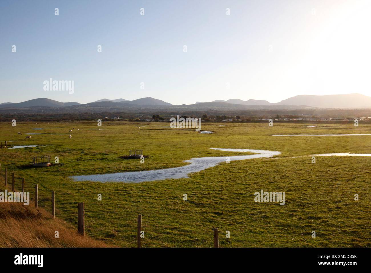 Salt flats used for grazing sheep, at dinas dinlle beach, Gwynydd