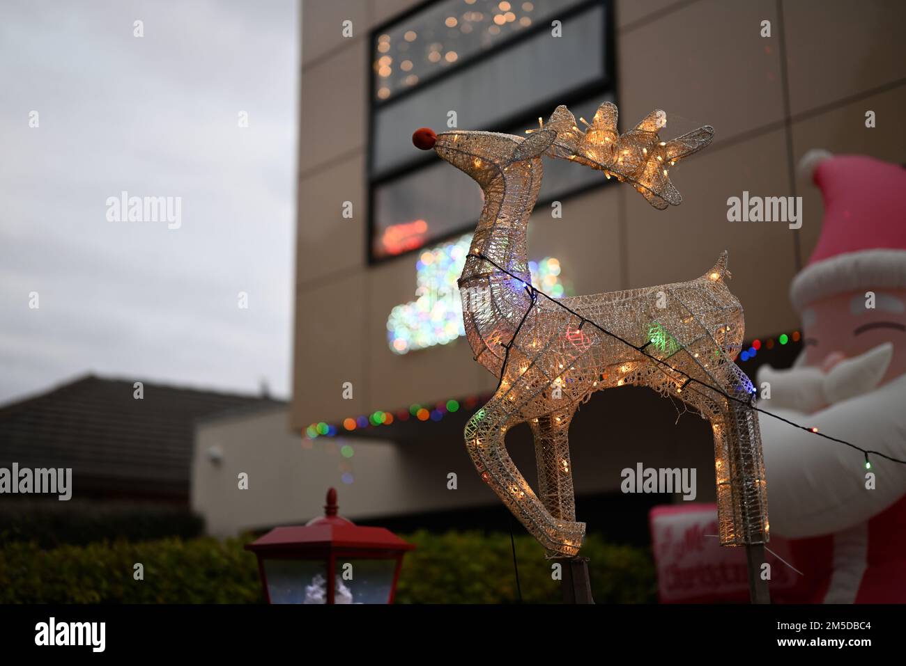 Illuminated suburban Christmas display featuring Rudolph the red-nosed reindeer, with other festive elements, such as Santa, in the background Stock Photo