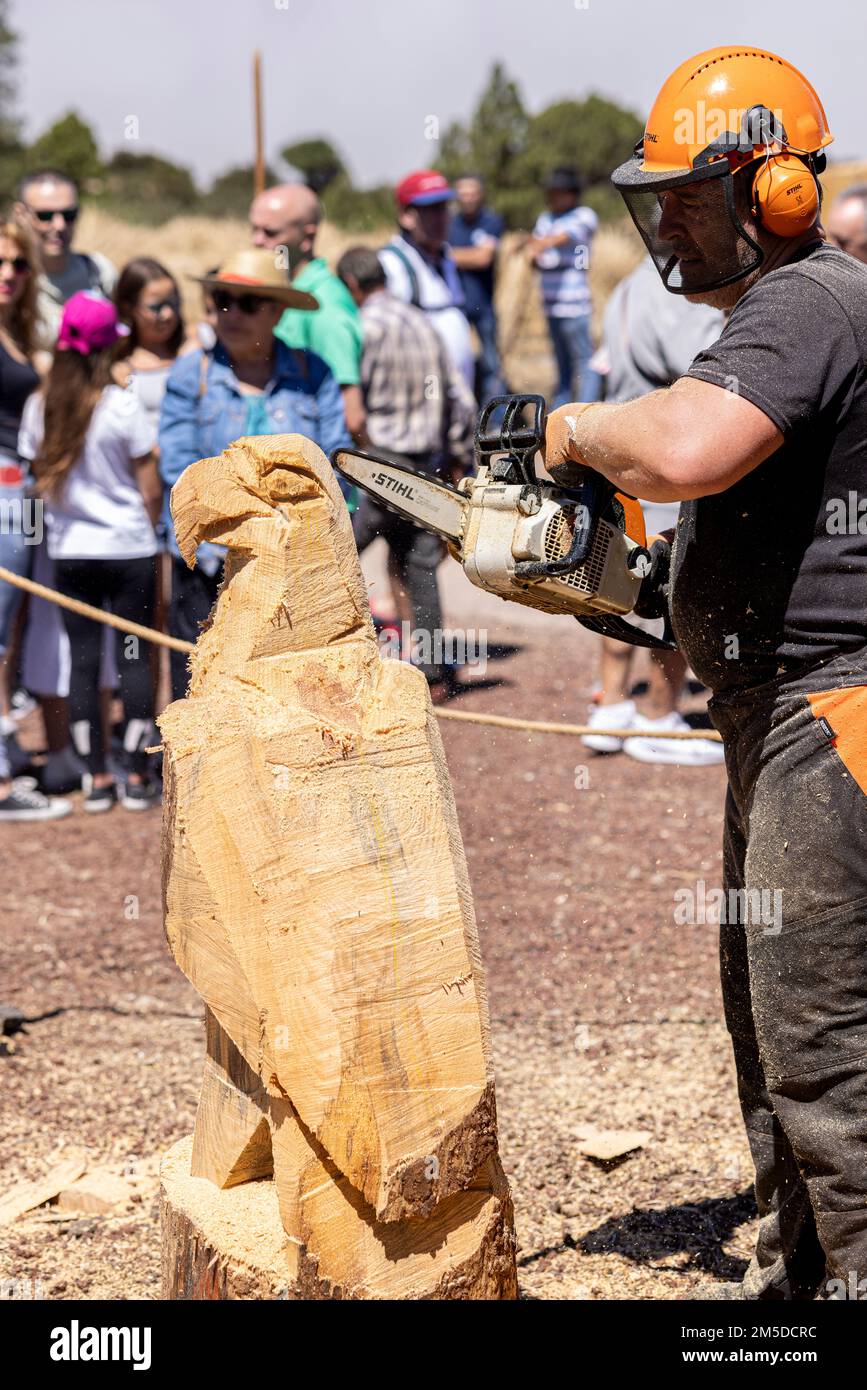 Chainsaw sculptor, artist at work sculpting an eagle from a tree trunk ...